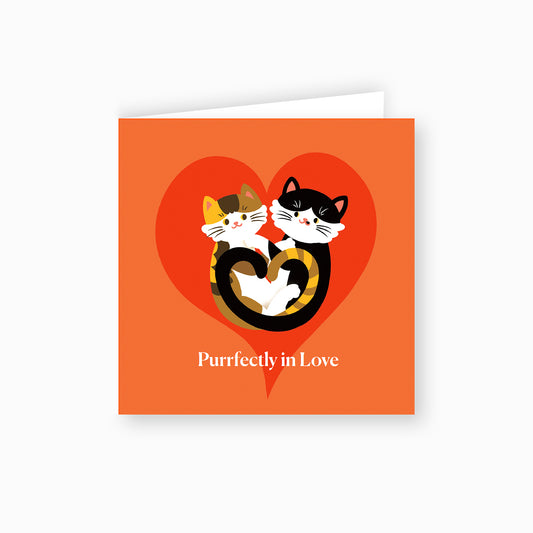 Cat Themed Valentine's Day Card