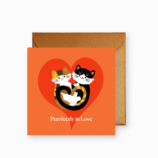 Cat Themed Valentine's Day Card