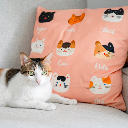 Cozy Cats Pattern Pillow Covers