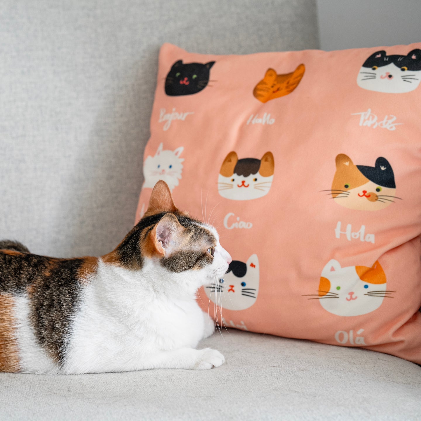 Cozy Cats Pattern Pillow Covers